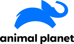 Logo Animal Planet Poland